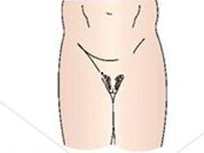 美女阴毛视频,揭秘美女阴毛的神秘魅力