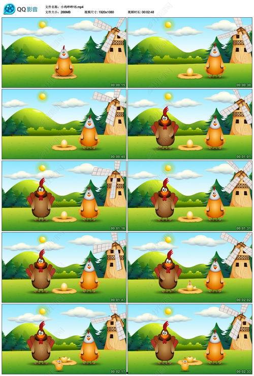 儿童舞蹈小鸡小鸡视频,小鸡小鸡舞蹈视频魅力解析