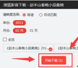 搜狐视频选择,引领潮流的短视频平台解析