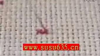 挪威起针法视频